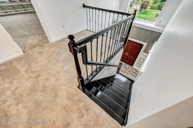 stairs featuring carpet