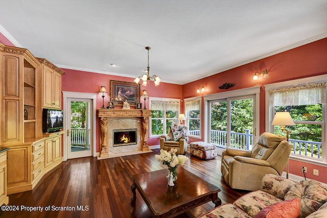 living room featuring a notable chandelier, dark hardwood / wood-style floors, ornamental molding, and a premium fireplace