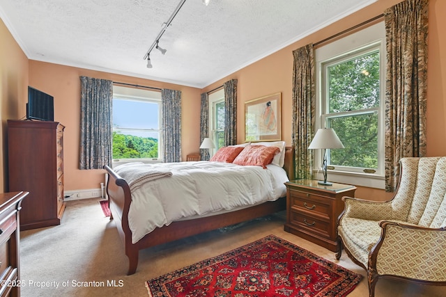 218 Weatherby St, Dalton, PA 18414 - bedroom with rail lighting, multiple windows, light carpet, and a textured ceiling