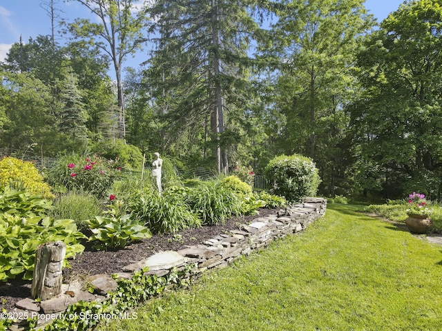 218 Weatherby St, Dalton, PA 18414 - view of yard