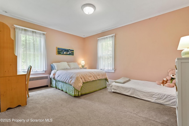 218 Weatherby St, Dalton, PA 18414 - bedroom with ornamental molding, radiator, and carpet floors