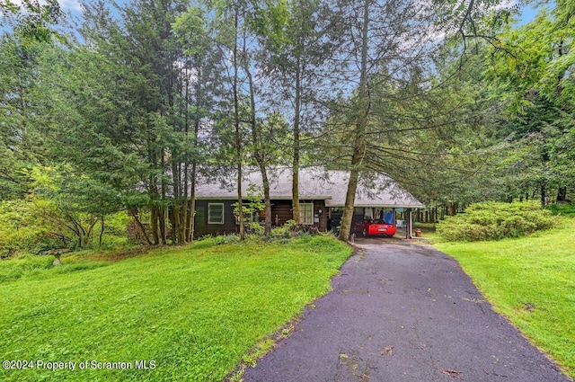 single story home featuring a front lawn and a carport