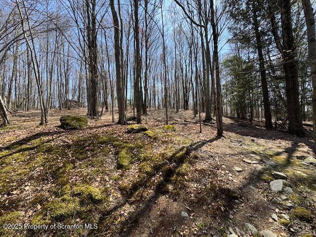 2258 Northgate Ct S Unit 16, Lake Ariel, PA 18436 - view of local wilderness