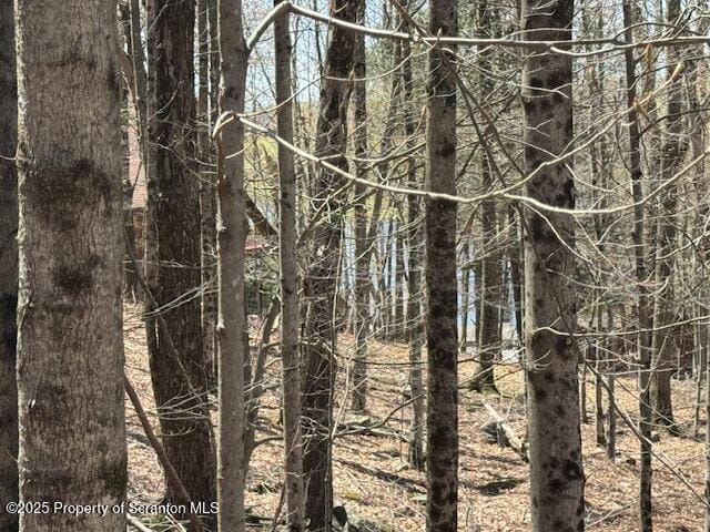 2258 Northgate Ct S Unit 16, Lake Ariel, PA 18436 - view of landscape featuring a view of trees