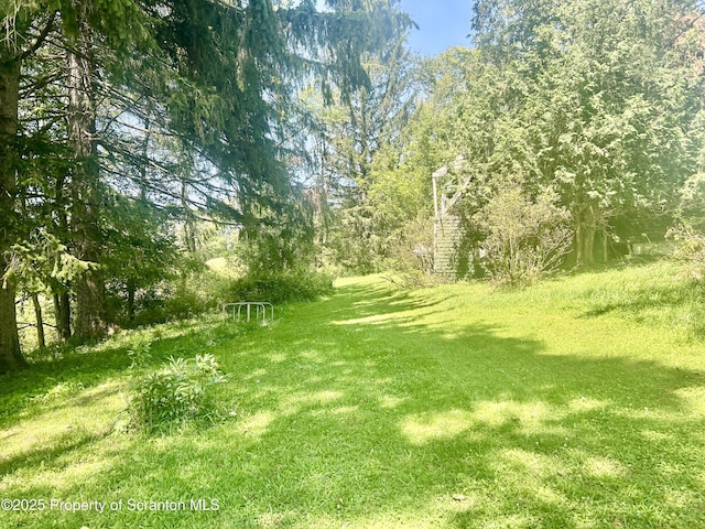270 Starucca Creek Rd, Starrucca, PA 18462 - photo 38