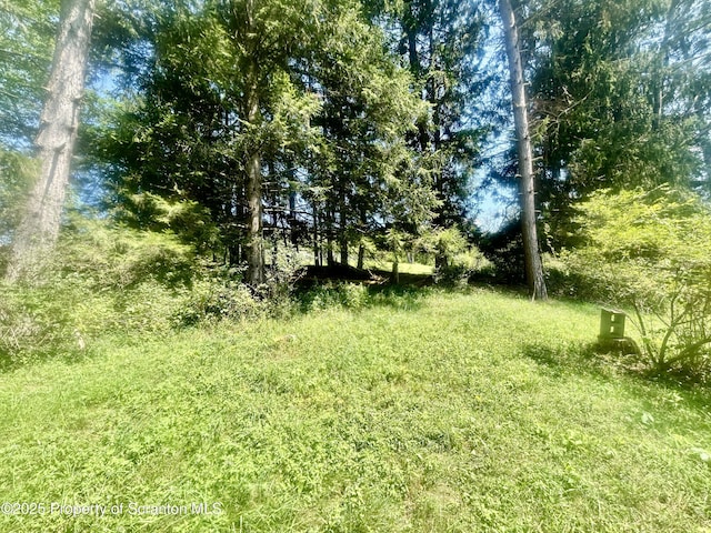 270 Starucca Creek Rd, Starrucca, PA 18462 - photo 39