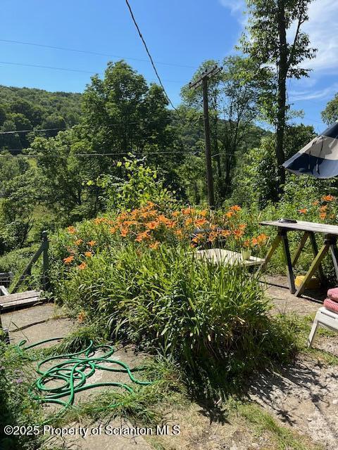 270 Starucca Creek Rd, Starrucca, PA 18462 - photo 43