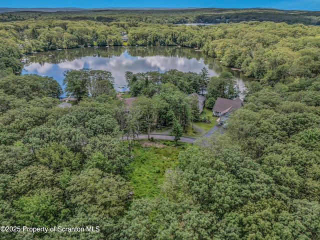 0 L19 Moosic Lk, Jefferson Twp, PA 18436 - photo 4