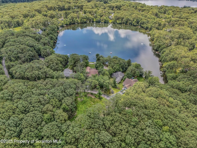 0 L19 Moosic Lk, Jefferson Twp, PA 18436 - photo 3