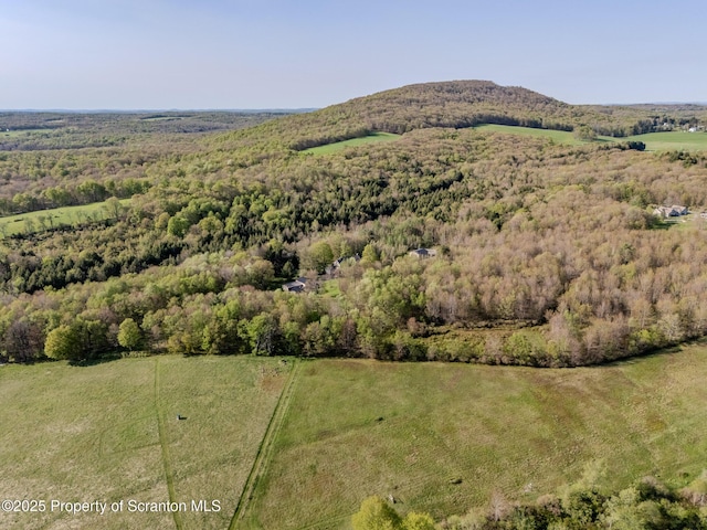 144 Crosstown Hwy, Union Dale, PA 18470 - view of mountain background with a heavily wooded area
