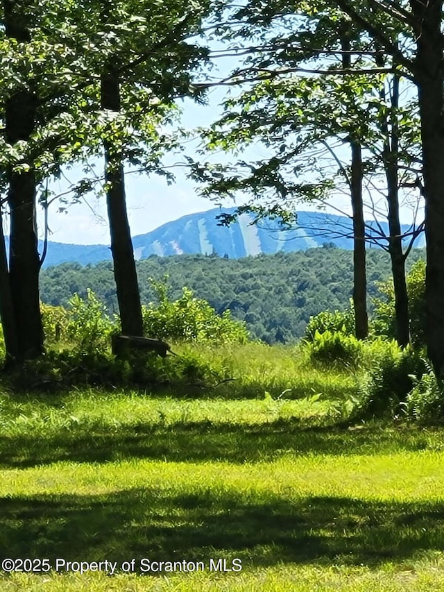 144 Crosstown Hwy, Union Dale, PA 18470 - view of mountain backdrop