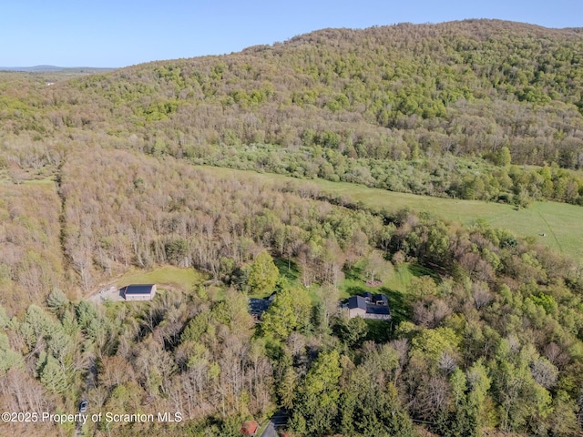 144 Crosstown Hwy, Union Dale, PA 18470 - bird's eye view of a forest