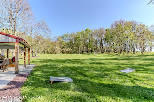 144 Crosstown Hwy, Union Dale, PA 18470 - view of green lawn
