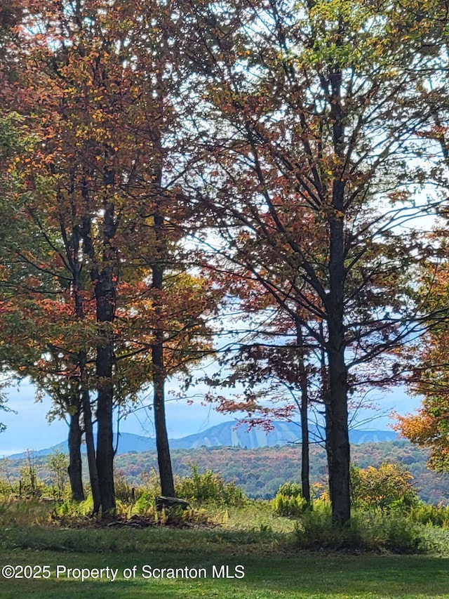 144 Crosstown Hwy, Union Dale, PA 18470 - water view with mountains