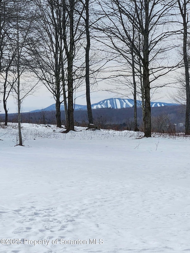 144 Crosstown Hwy, Union Dale, PA 18470 - view of snowy yard