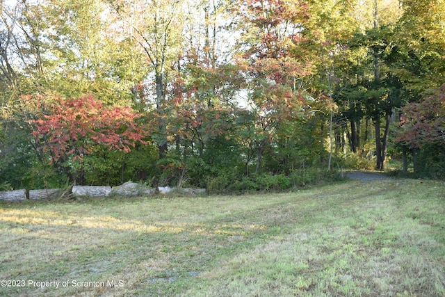 Heart Lake Rd, Montrose PA, 18801 land for sale