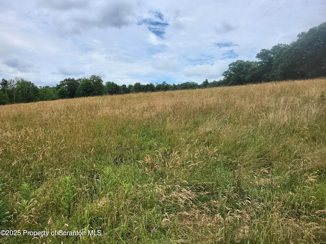 520 State Route 2010, Clifford Twp, PA 18421 - photo 15