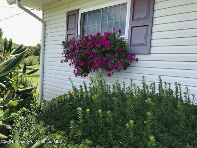 520 State Route 2010, Clifford Twp, PA 18421 - photo 64