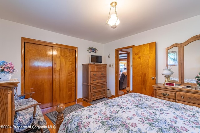 bedroom featuring light wood-type flooring and a closet