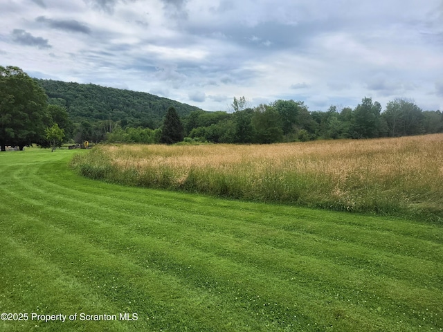 520 State Route 2010, Clifford Twp, PA 18421 - photo 13