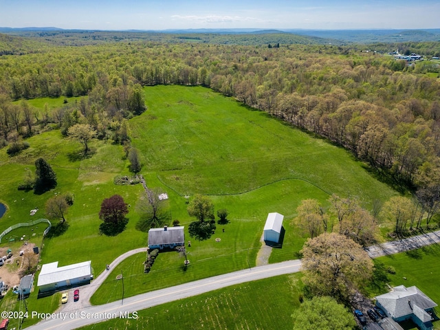 520 State Route 2010, Clifford Twp, PA 18421 - photo 8