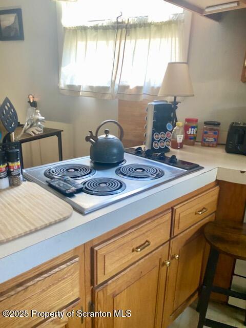729 N Irving Ave, Scranton, PA 18510 - photo 6