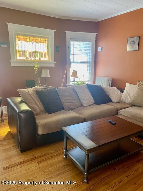 729 N Irving Ave, Scranton, PA 18510 - photo 15