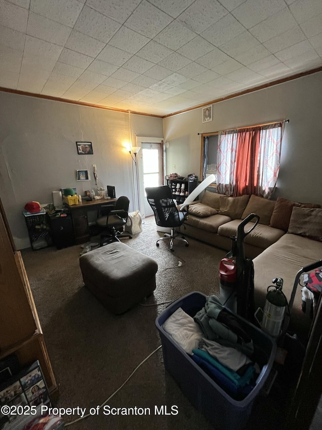 423 W Lackawanna Ave, Olyphant, PA 18447 - photo 41