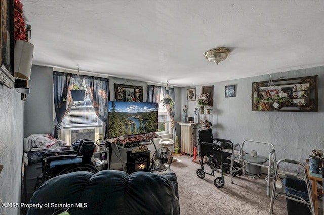 219 N Sumner Ave, Scranton, PA 18504 - carpeted living area with cooling unit and a textured wall
