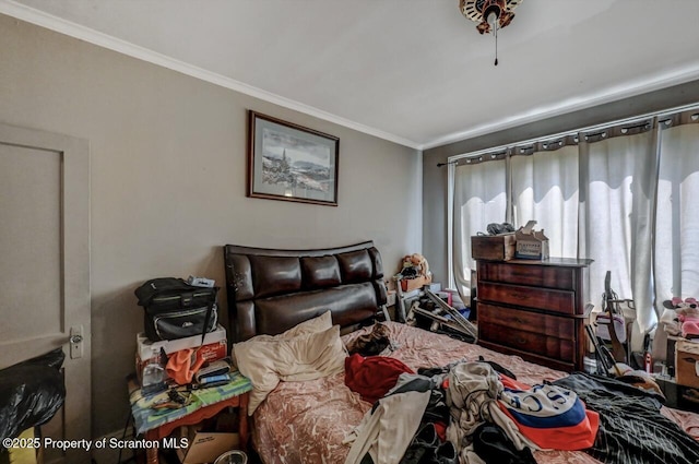 219 N Sumner Ave, Scranton, PA 18504 - bedroom with crown molding and multiple windows