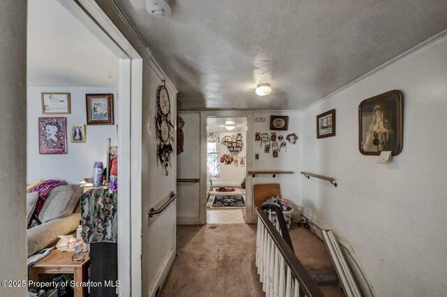 219 N Sumner Ave, Scranton, PA 18504 - corridor with carpet floors