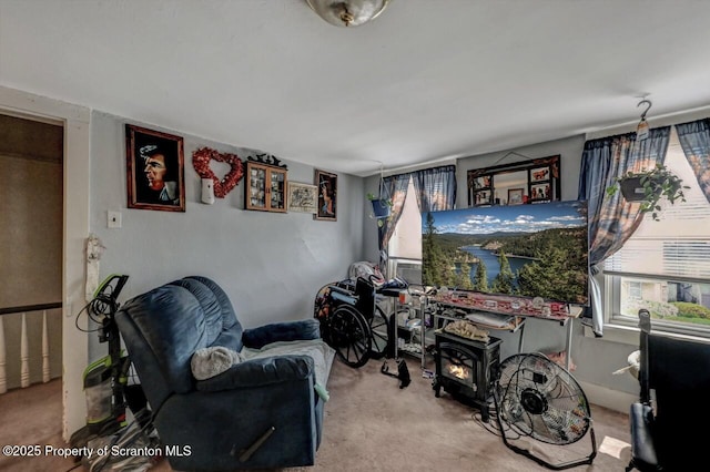 219 N Sumner Ave, Scranton, PA 18504 - carpeted living room with a wood stove