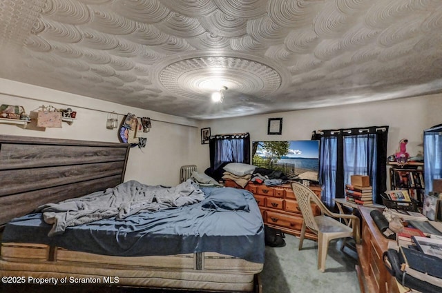 219 N Sumner Ave, Scranton, PA 18504 - view of carpeted bedroom