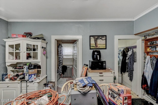 219 N Sumner Ave, Scranton, PA 18504 - bedroom featuring crown molding and radiator heating unit