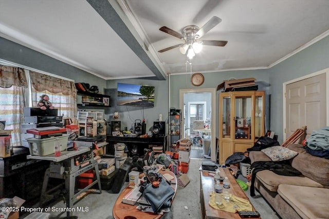 219 N Sumner Ave, Scranton, PA 18504 - living room with ceiling fan, healthy amount of natural light, and crown molding