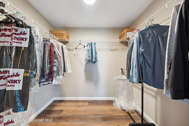 442 Shadow Wood Cir, Archbald, PA 18403 - spacious closet with wood finished floors