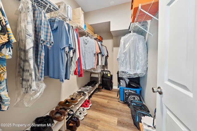 442 Shadow Wood Cir, Archbald, PA 18403 - spacious closet featuring wood finished floors