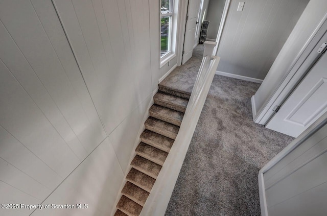 stairway featuring carpet flooring