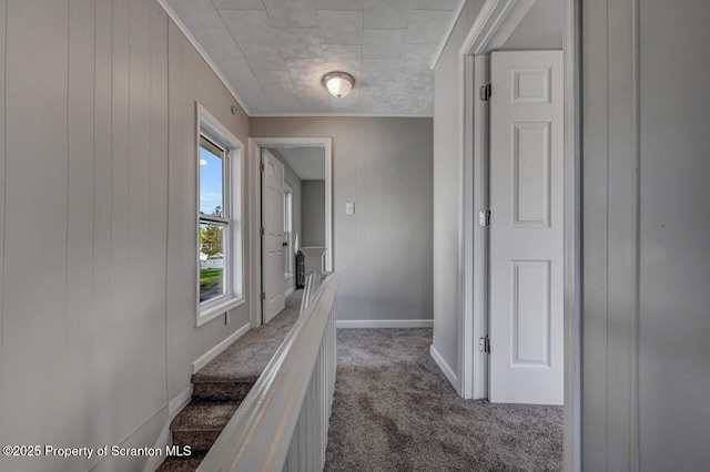 hallway featuring baseboards, ornamental molding, carpet, and wooden walls