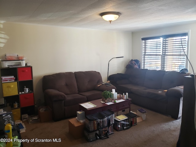 carpeted living room featuring ornamental molding