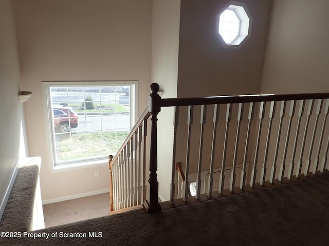 staircase featuring a wealth of natural light and carpet flooring