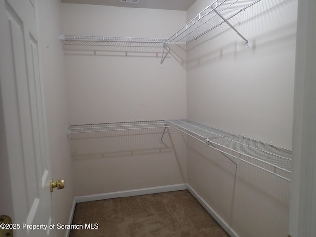 walk in closet featuring carpet flooring