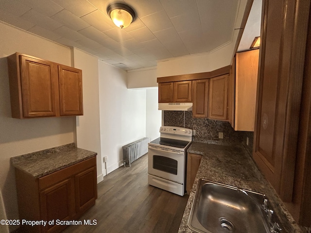 1132 Chestnut St, Allentown, PA 18109 - kitchen with radiator heating unit, white electric range, under cabinet range hood, tasteful backsplash, and brown cabinetry