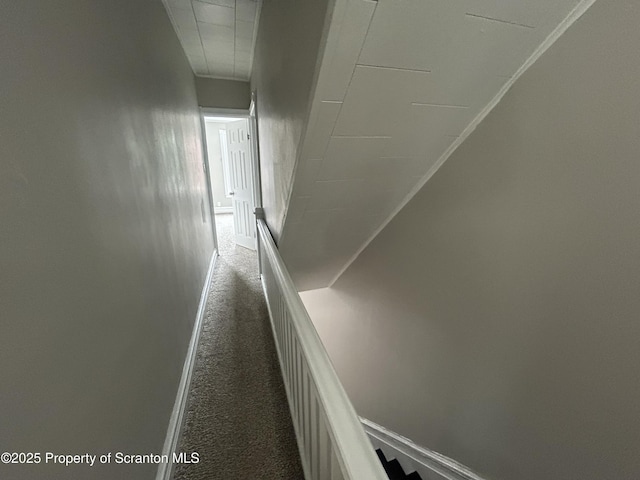 1132 Chestnut St, Allentown, PA 18109 - hall featuring dark colored carpet and baseboards