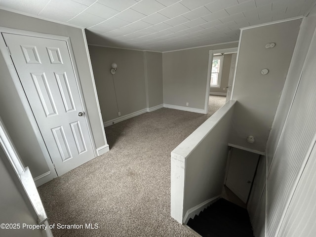 1132 Chestnut St, Allentown, PA 18109 - empty room with carpet and crown molding