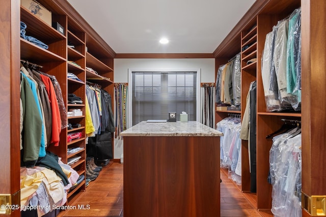 spacious closet featuring dark wood-type flooring