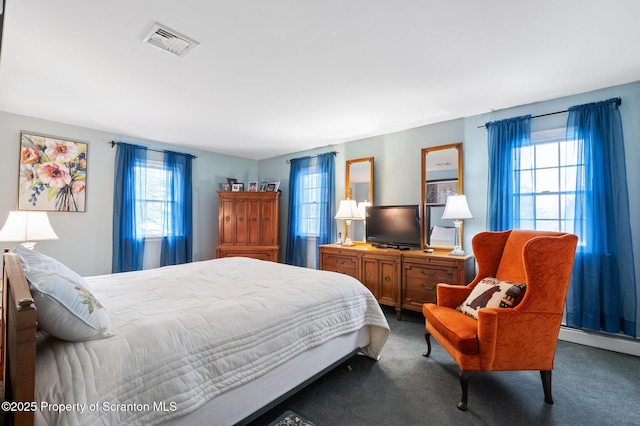 carpeted bedroom with multiple windows and a baseboard radiator