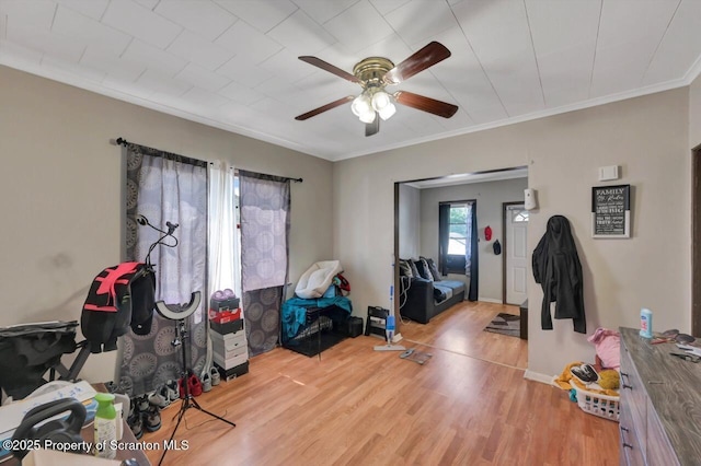 7 Oakwood Pl, Scranton, PA 18510 - living room featuring ceiling fan, light wood-style floors, and crown molding
