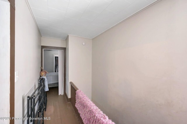 7 Oakwood Pl, Scranton, PA 18510 - hallway with wood finished floors