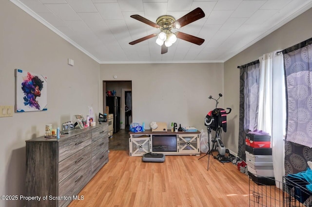 7 Oakwood Pl, Scranton, PA 18510 - miscellaneous room with ceiling fan, light wood finished floors, and crown molding